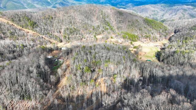 Ramsey Rd Road, Cosby, Tennessee image 5