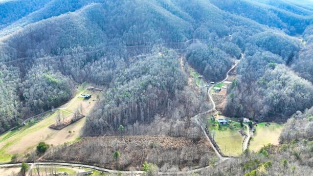 Ramsey Rd Road, Cosby, Tennessee image 35