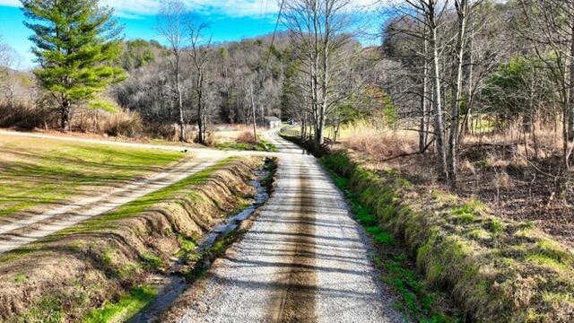 Ramsey Rd Road, Cosby, Tennessee image 41