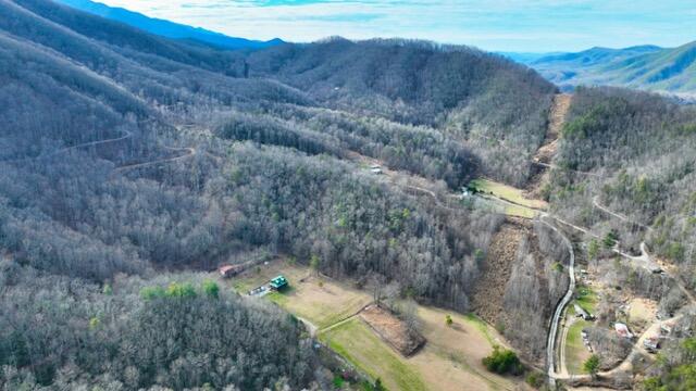 Ramsey Rd Road, Cosby, Tennessee image 1