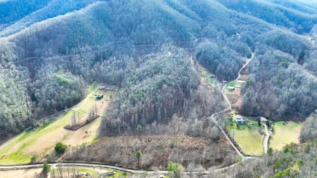 Ramsey Rd Road, Cosby, Tennessee image 46