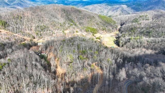 Ramsey Rd Road, Cosby, Tennessee image 18