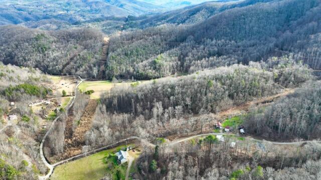 Ramsey Rd Road, Cosby, Tennessee image 33