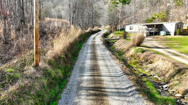 Ramsey Rd Road, Cosby, Tennessee image 17