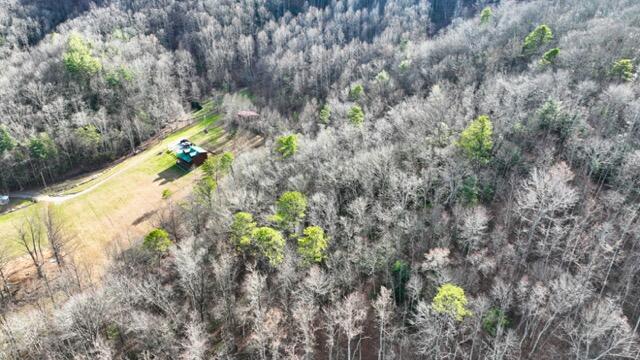 Ramsey Rd Road, Cosby, Tennessee image 8