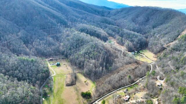 Ramsey Rd Road, Cosby, Tennessee image 28