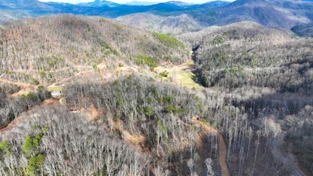 Ramsey Rd Road, Cosby, Tennessee image 30