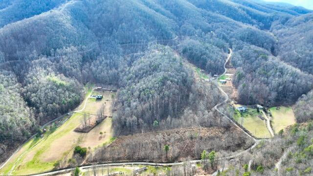 Ramsey Rd Road, Cosby, Tennessee image 47