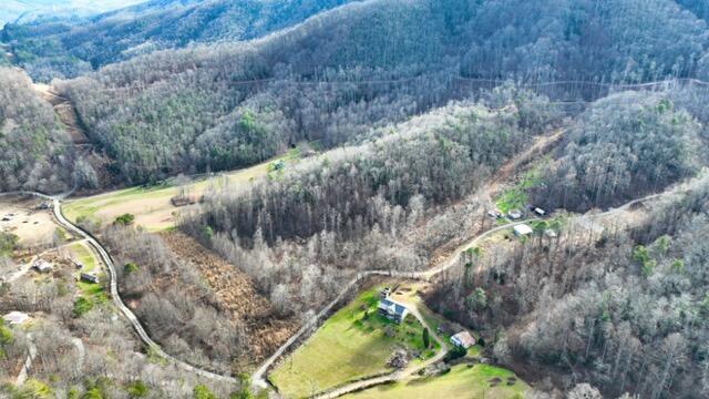 Ramsey Rd Road, Cosby, Tennessee image 7