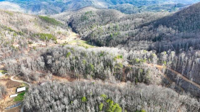 Ramsey Rd Road, Cosby, Tennessee image 3