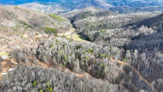 Ramsey Rd Road, Cosby, Tennessee image 40