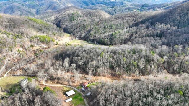 Ramsey Rd Road, Cosby, Tennessee image 45