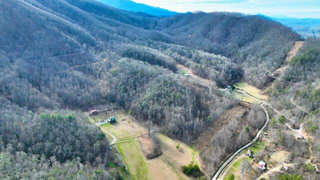 Ramsey Rd Road, Cosby, Tennessee image 39