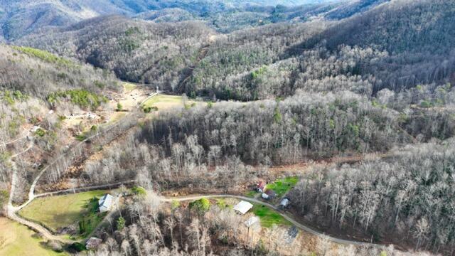 Ramsey Rd Road, Cosby, Tennessee image 9