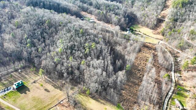 Ramsey Rd Road, Cosby, Tennessee image 27