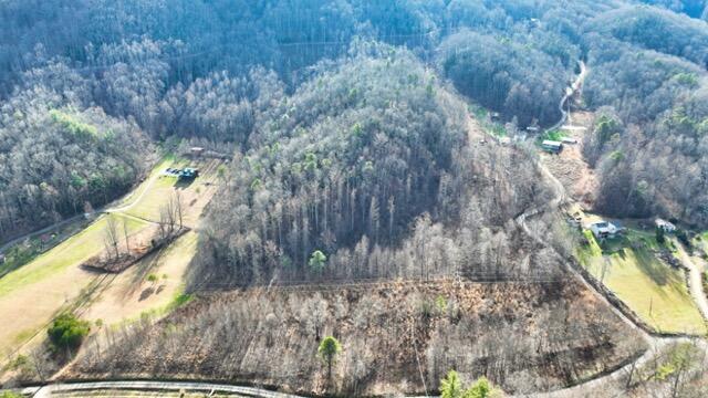 Ramsey Rd Road, Cosby, Tennessee image 14