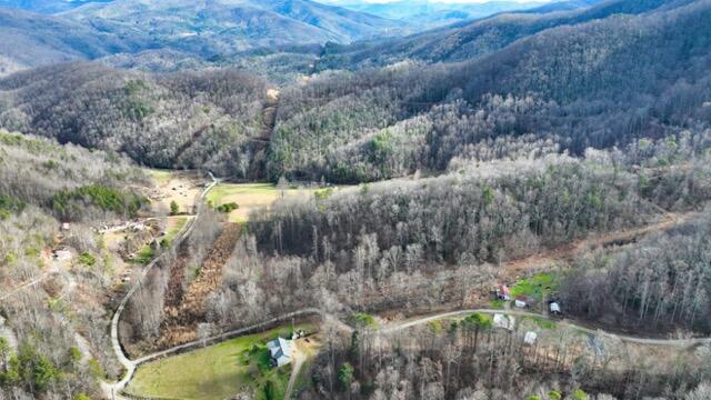 Ramsey Rd Road, Cosby, Tennessee image 22