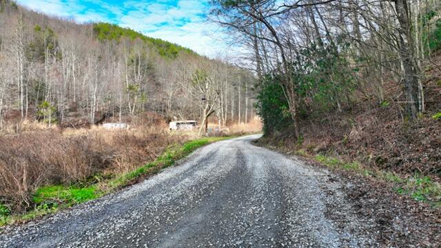 Ramsey Rd Road, Cosby, Tennessee image 29