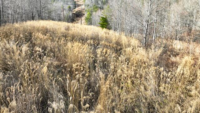 Ramsey Rd Road, Cosby, Tennessee image 48