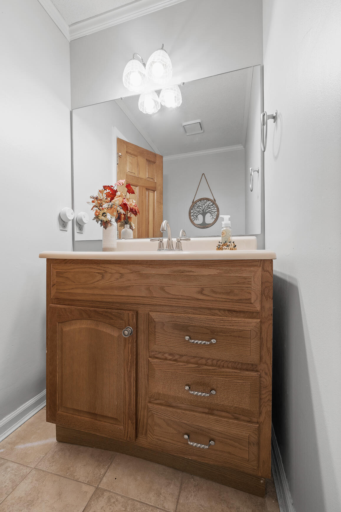 8518 Nesting Trail, Ooltewah, Tennessee image 36