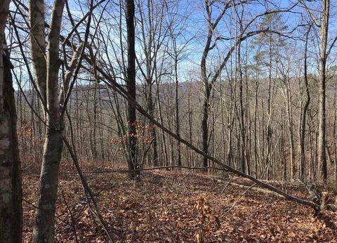 Vacant Land For Sale - Chestnut Oak Drive<br/> Dunlap, TN 37327