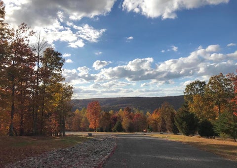 Vacant Land For Sale - Chestnut Oak Drive<br/> Dunlap, TN 37327