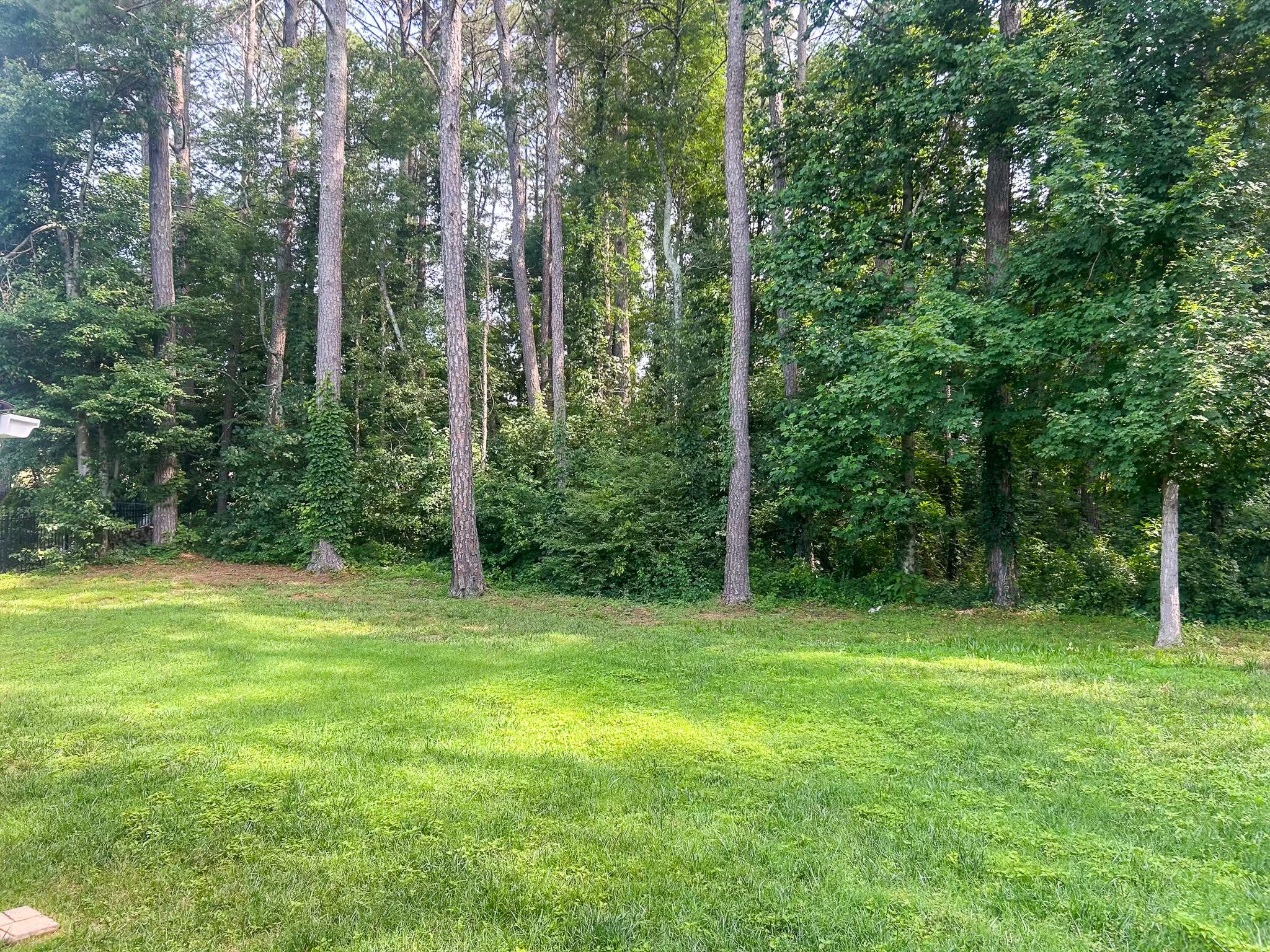 5698 Avenwood Circle, Cleveland, Tennessee image 6