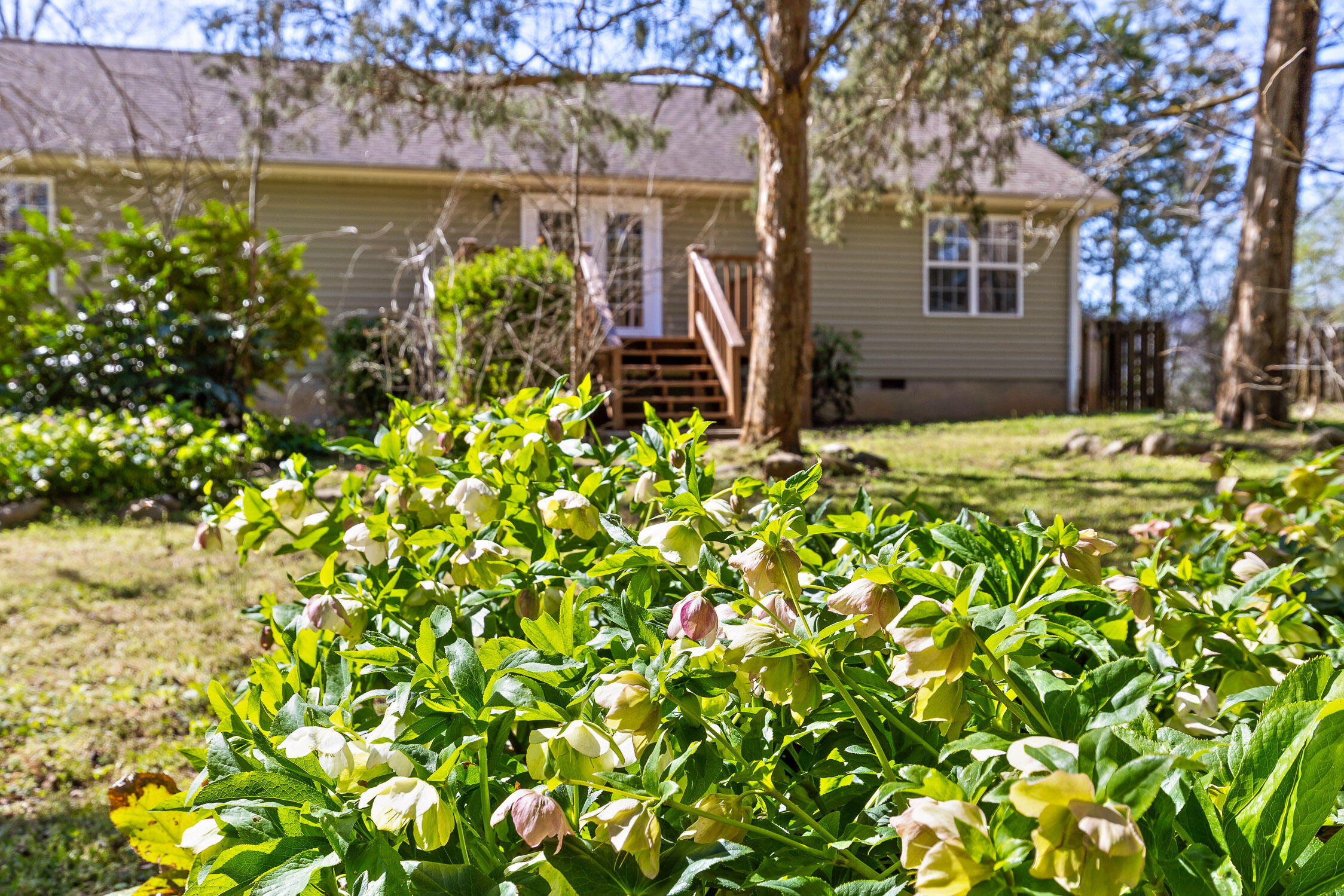 147 Cherokee Trail, Trenton, Georgia image 37