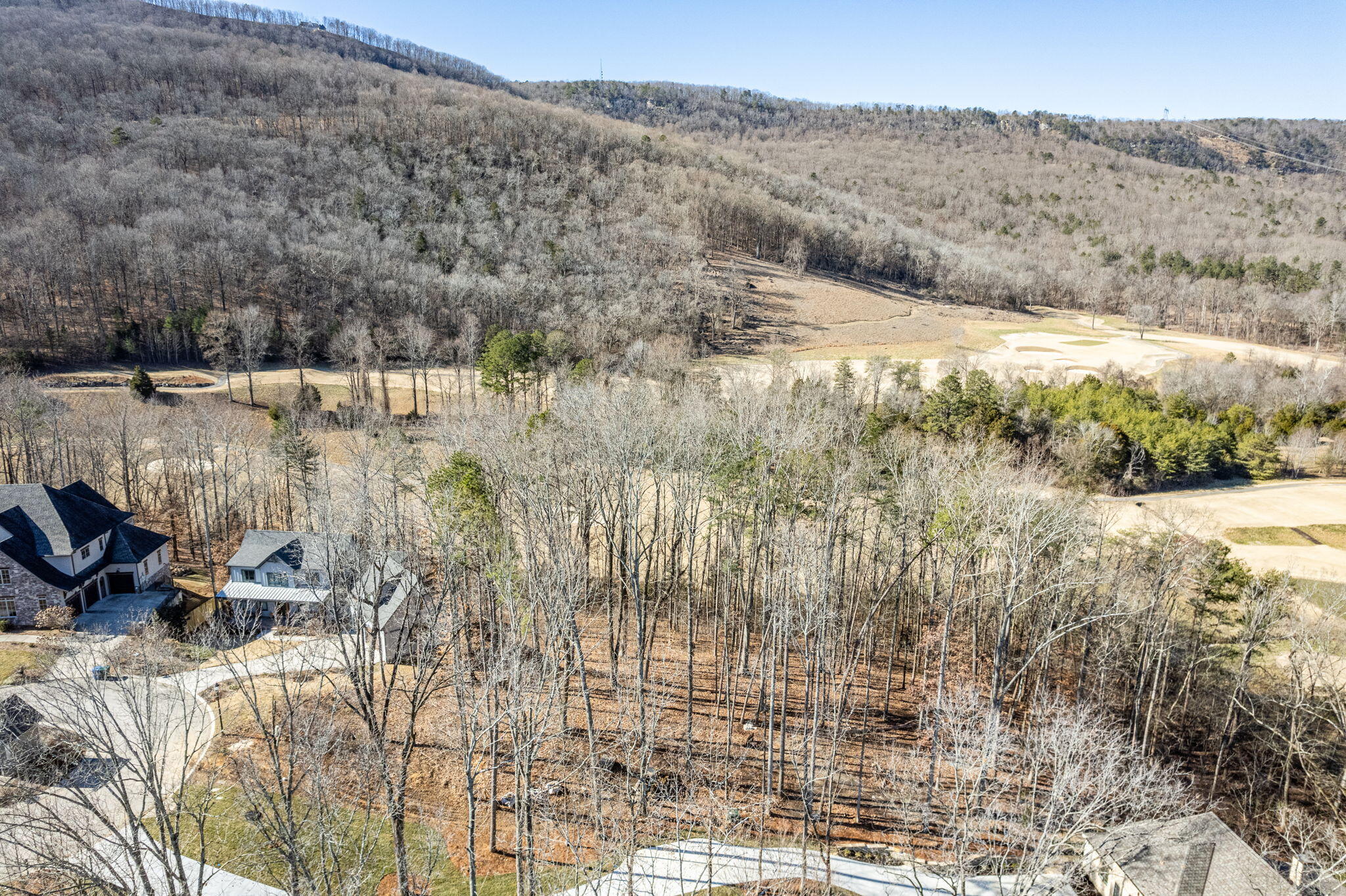 868 Dry Branch Court, Chattanooga, Tennessee image 8