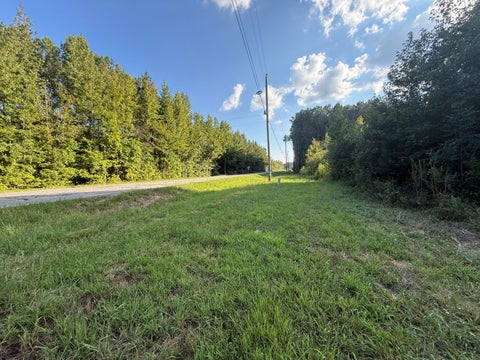 Vacant Land For Sale - 14446 Hwy 151<br/> Trion, GA 30753