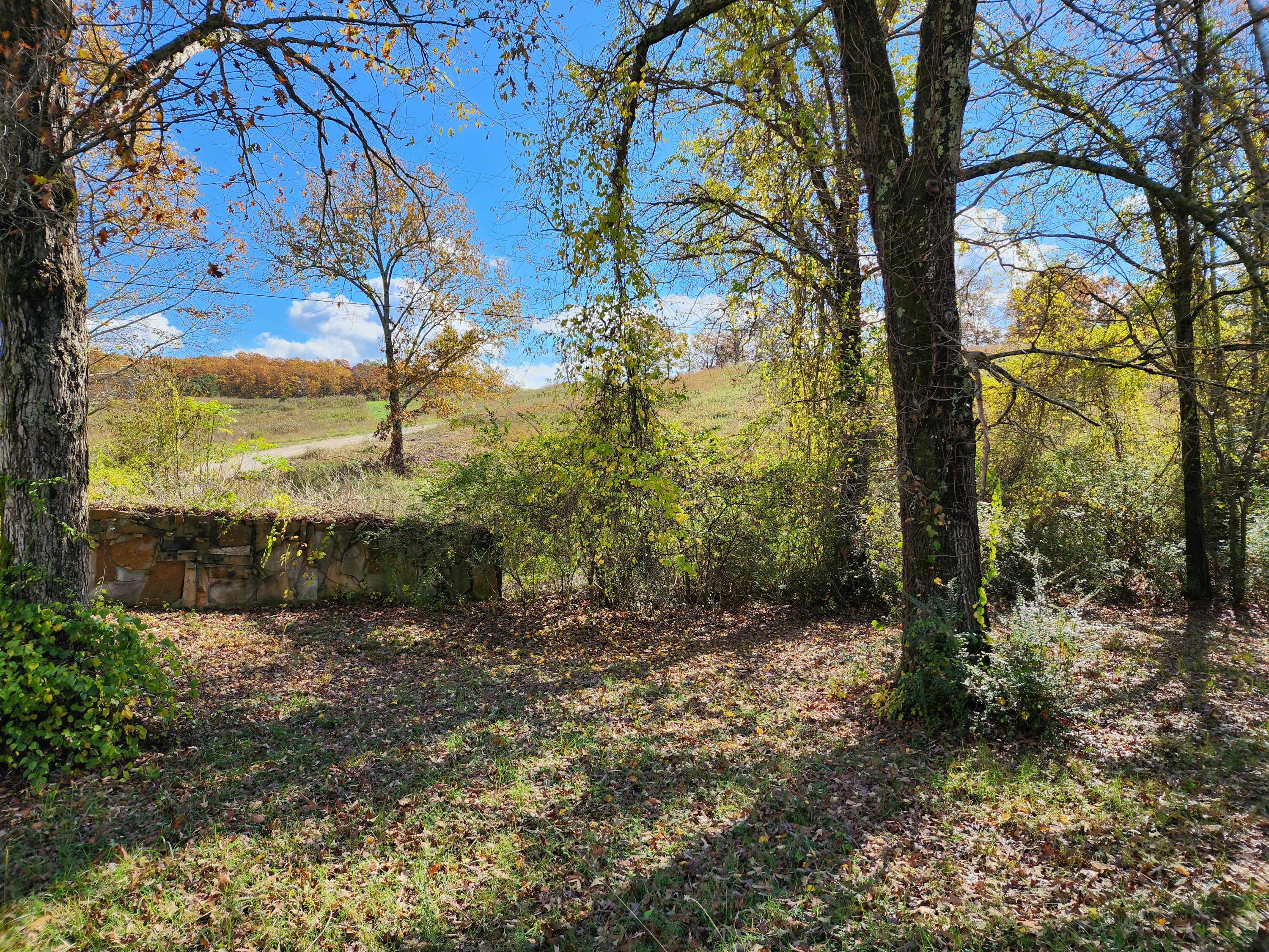 7116 Garfield Road, Harrison, Tennessee image 5