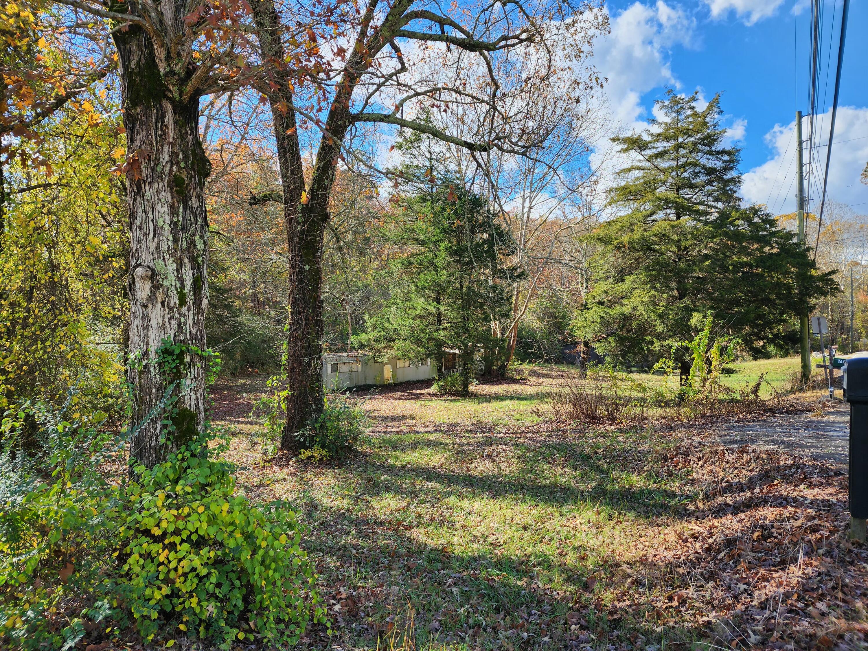 7116 Garfield Road, Harrison, Tennessee image 6