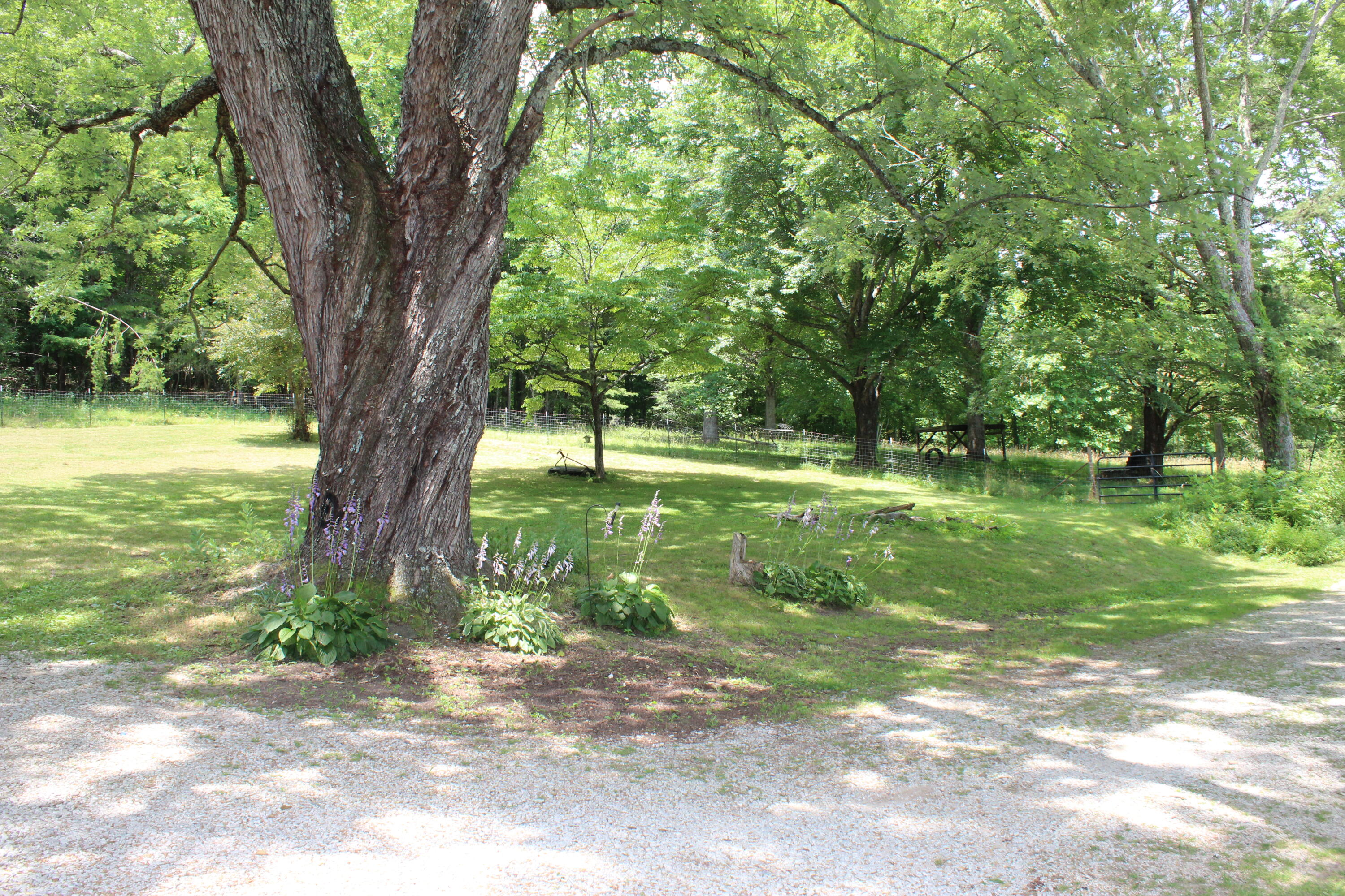 196 Hillside Drive, Palmer, Tennessee image 8