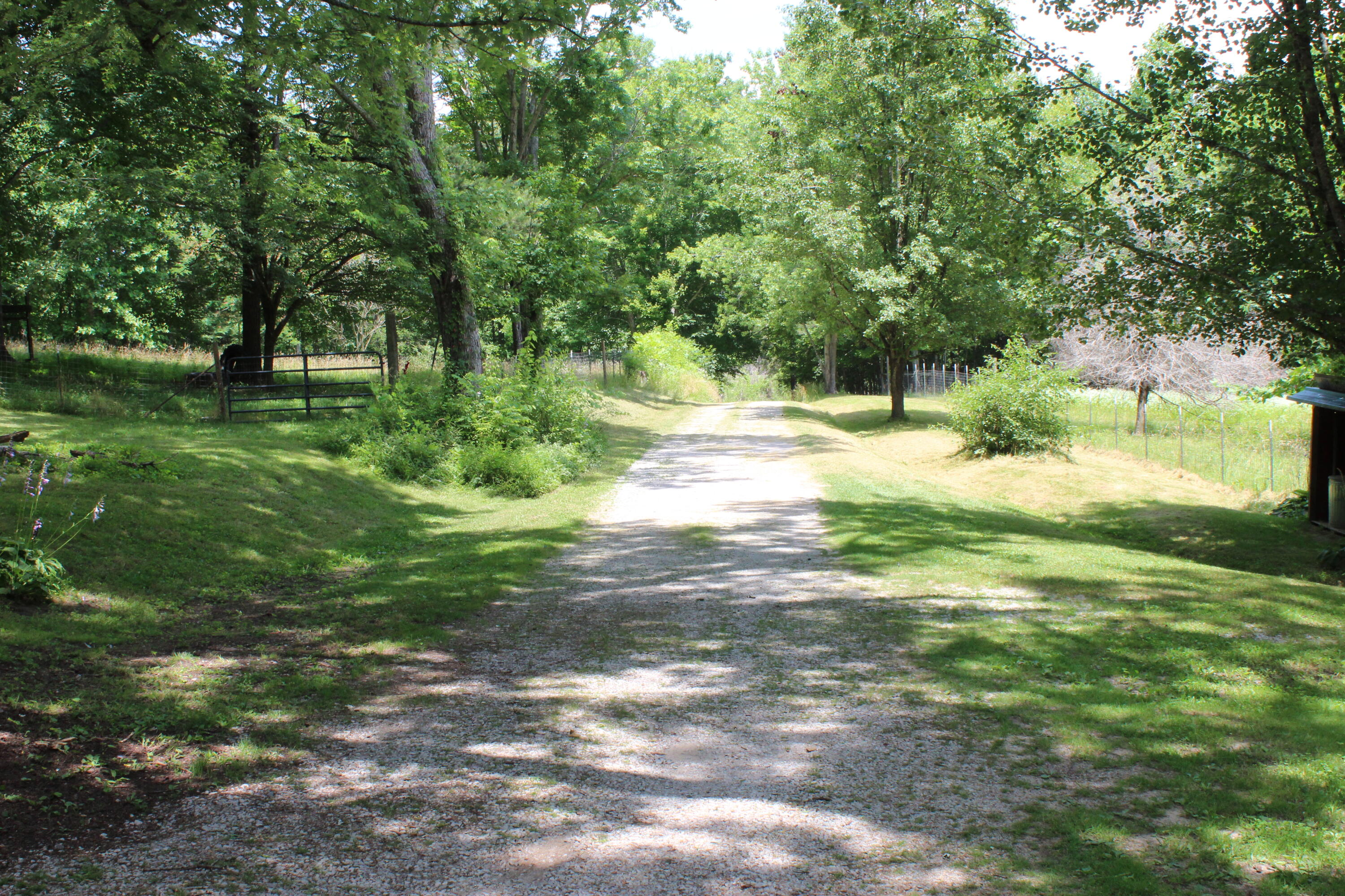196 Hillside Drive, Palmer, Tennessee image 5
