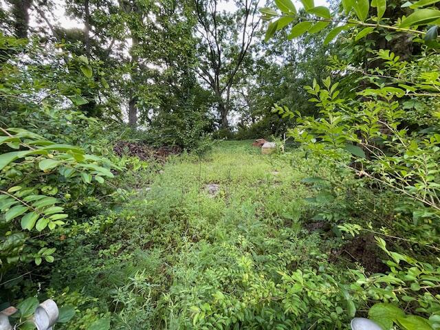 4908 13th Avenue, Chattanooga, Tennessee image 18