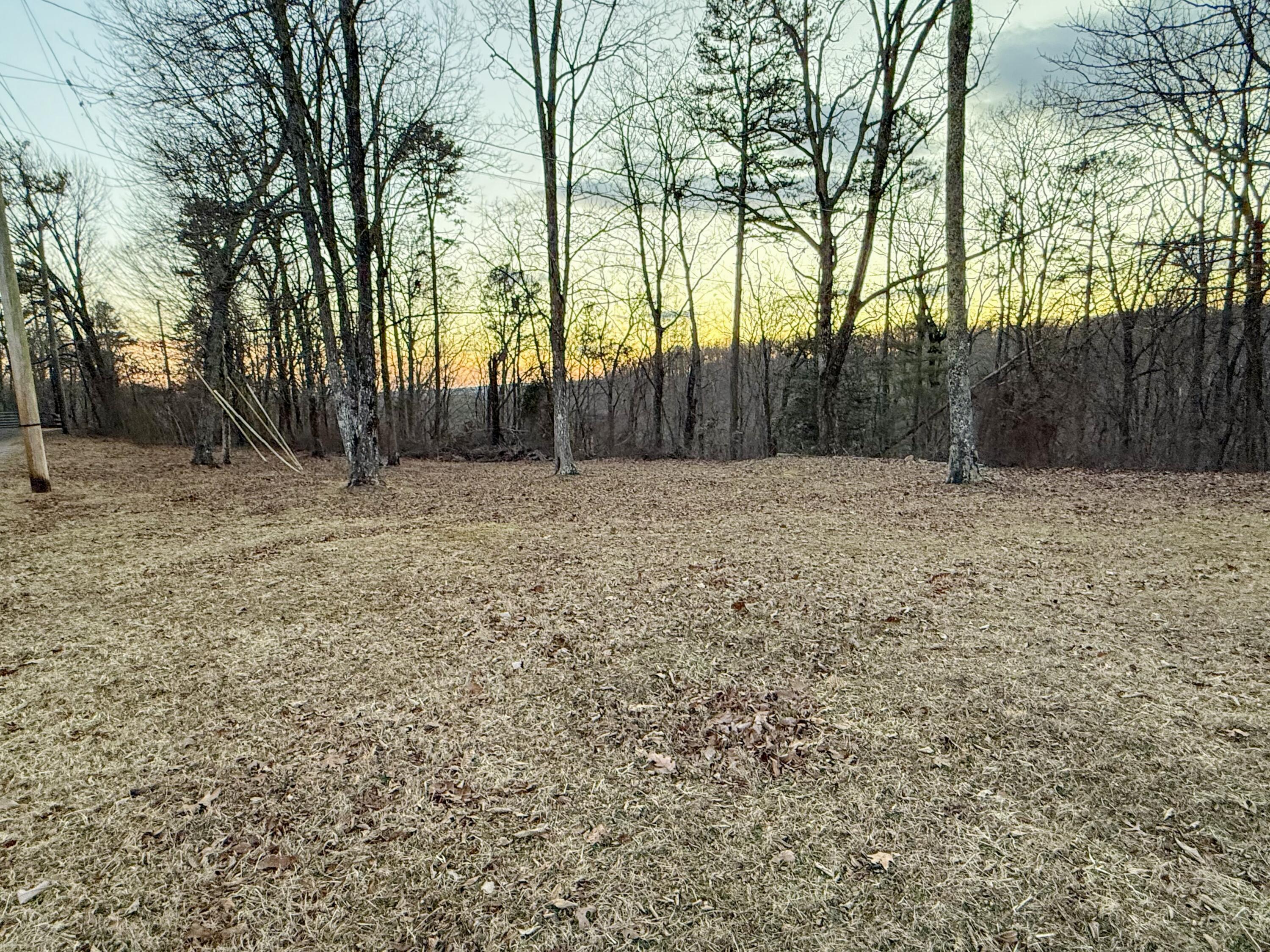 398 Swanger Road, Signal Mountain, Tennessee image 7