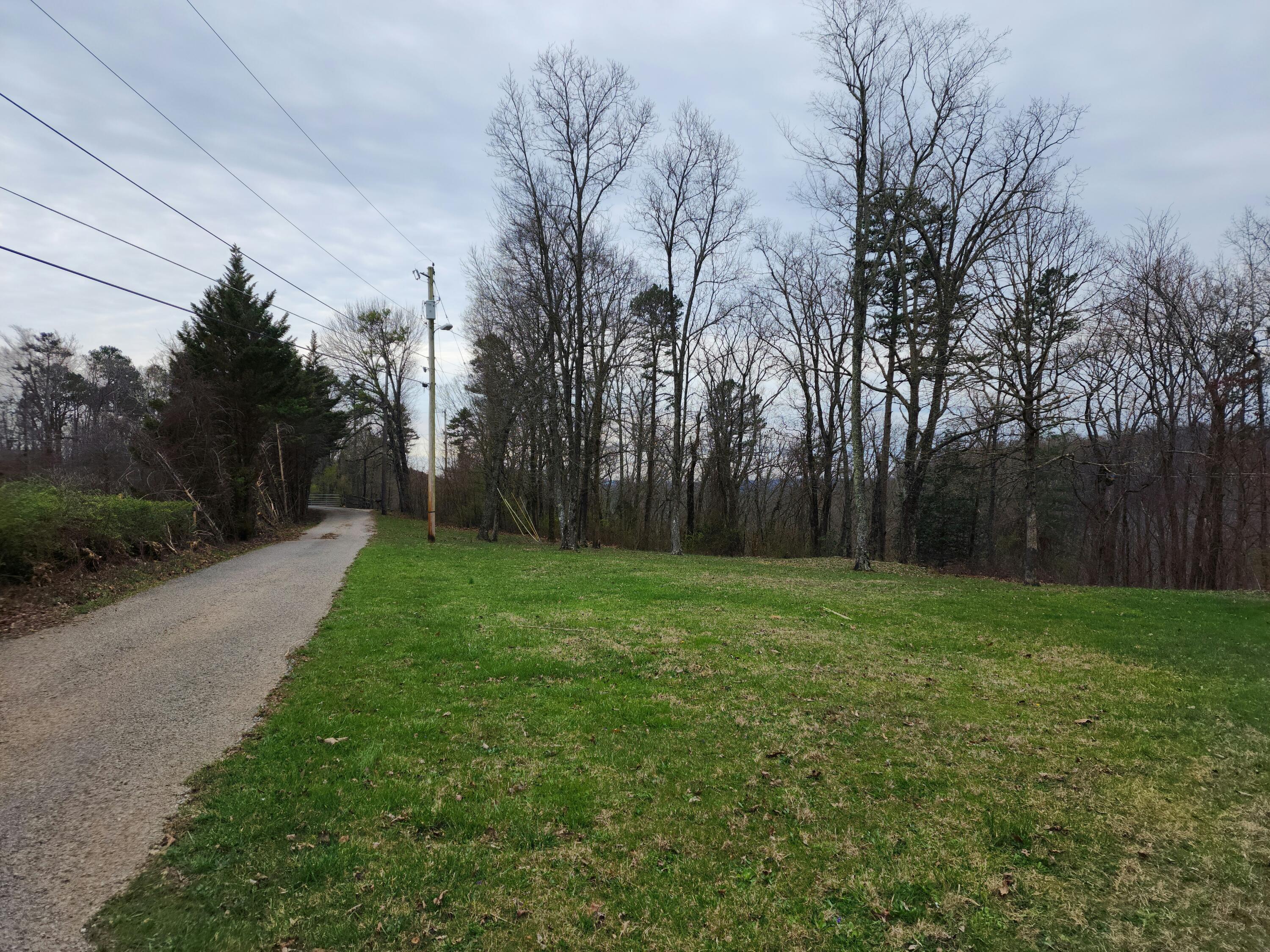 398 Swanger Road, Signal Mountain, Tennessee image 1