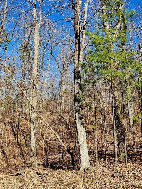 Vacant Land For Sale - Northwoods Lane<br/> Trenton, TN 30752
