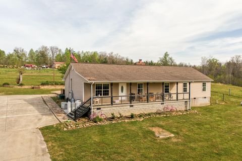 Photo of 10389 Summer City Rd Rd, Spring City, TN 37381 (MLS # 1532950)