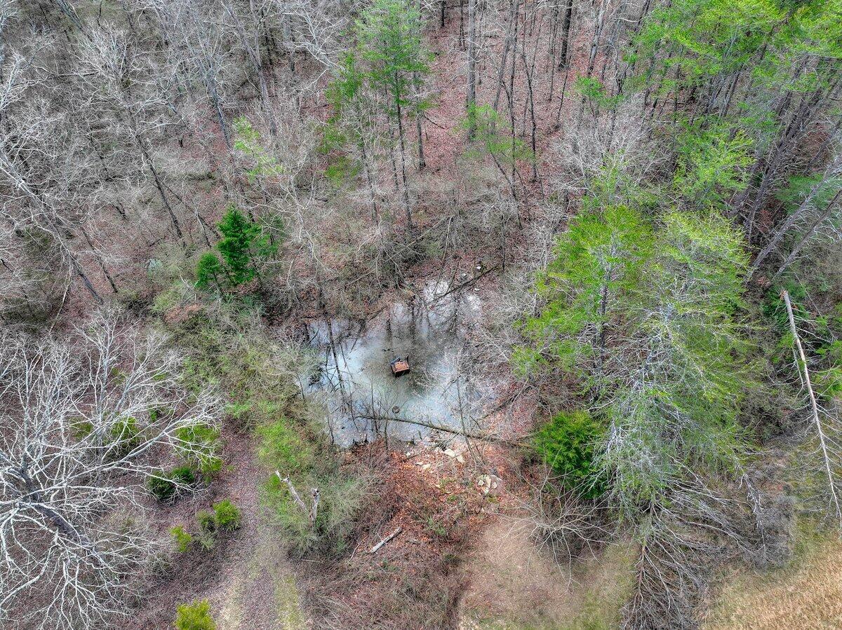 7601 Gamble Road, Georgetown, Tennessee image 49