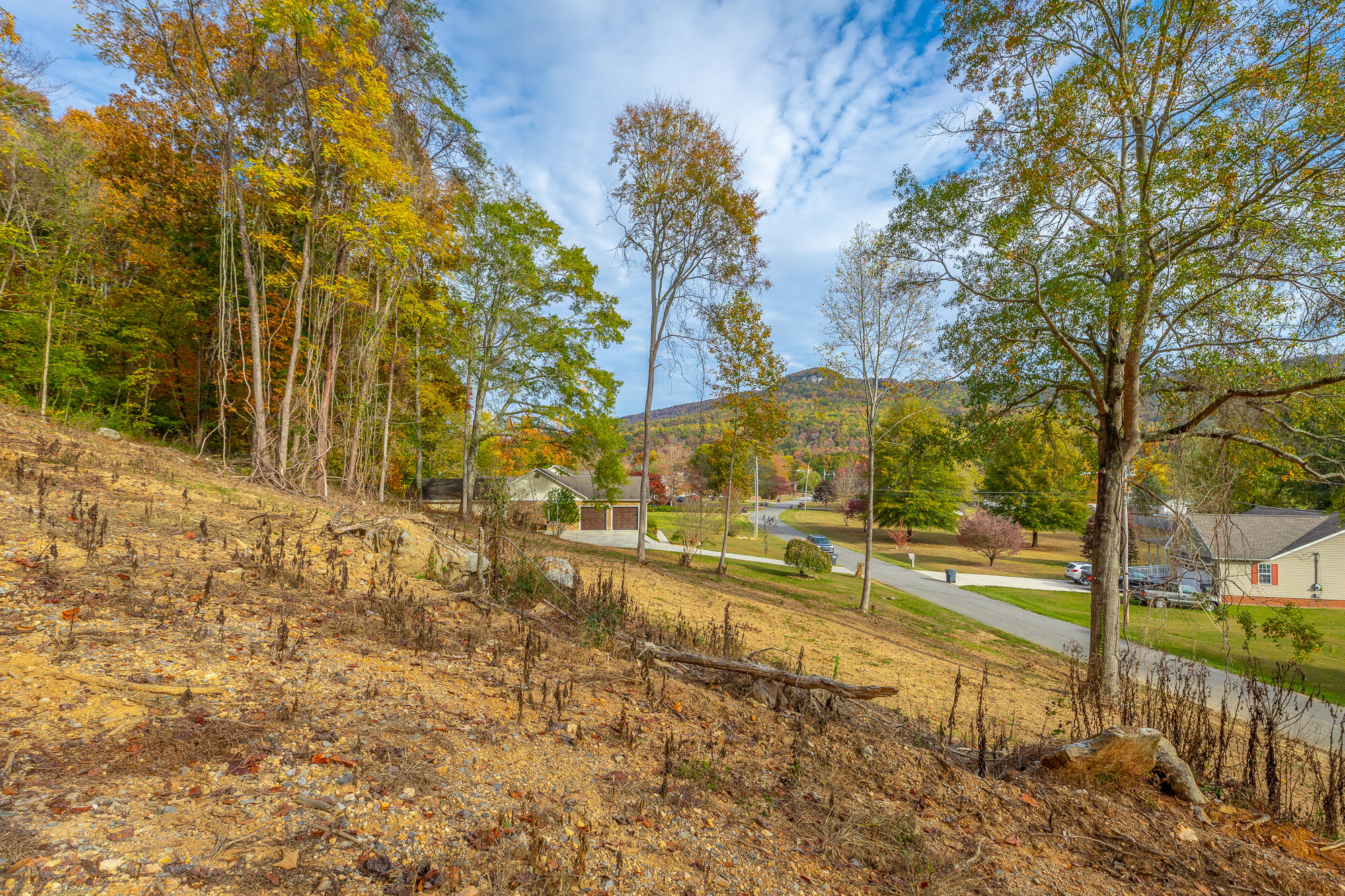 Asher Street, Jasper, Tennessee image 6