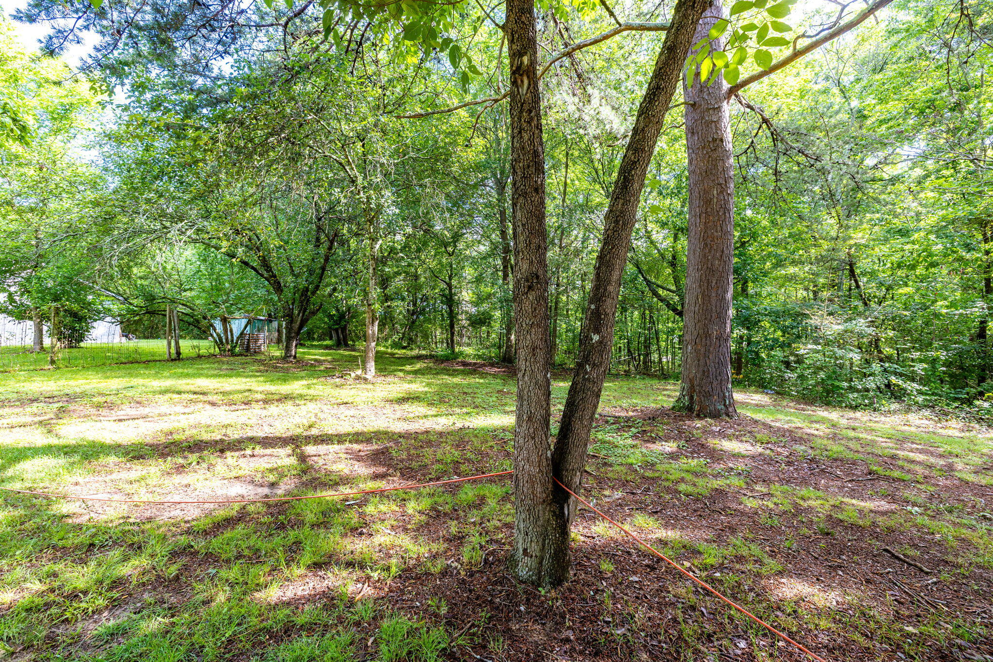 419 Stallings Road, Trenton, Georgia image 37