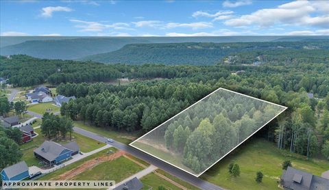 Vacant Land For Sale - 1711 Raulston Falls Road<br/> Jasper, TN 37347