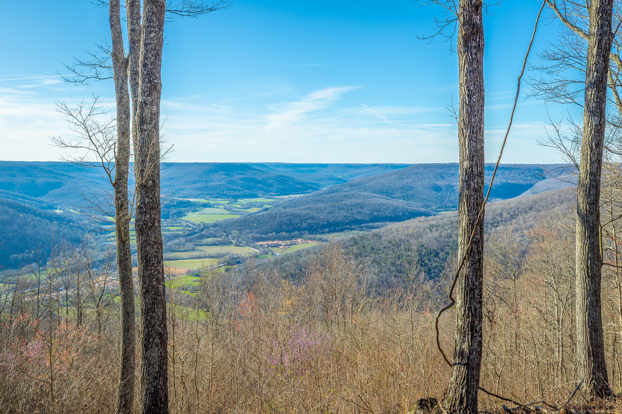 0 Cherokee Path Jf269