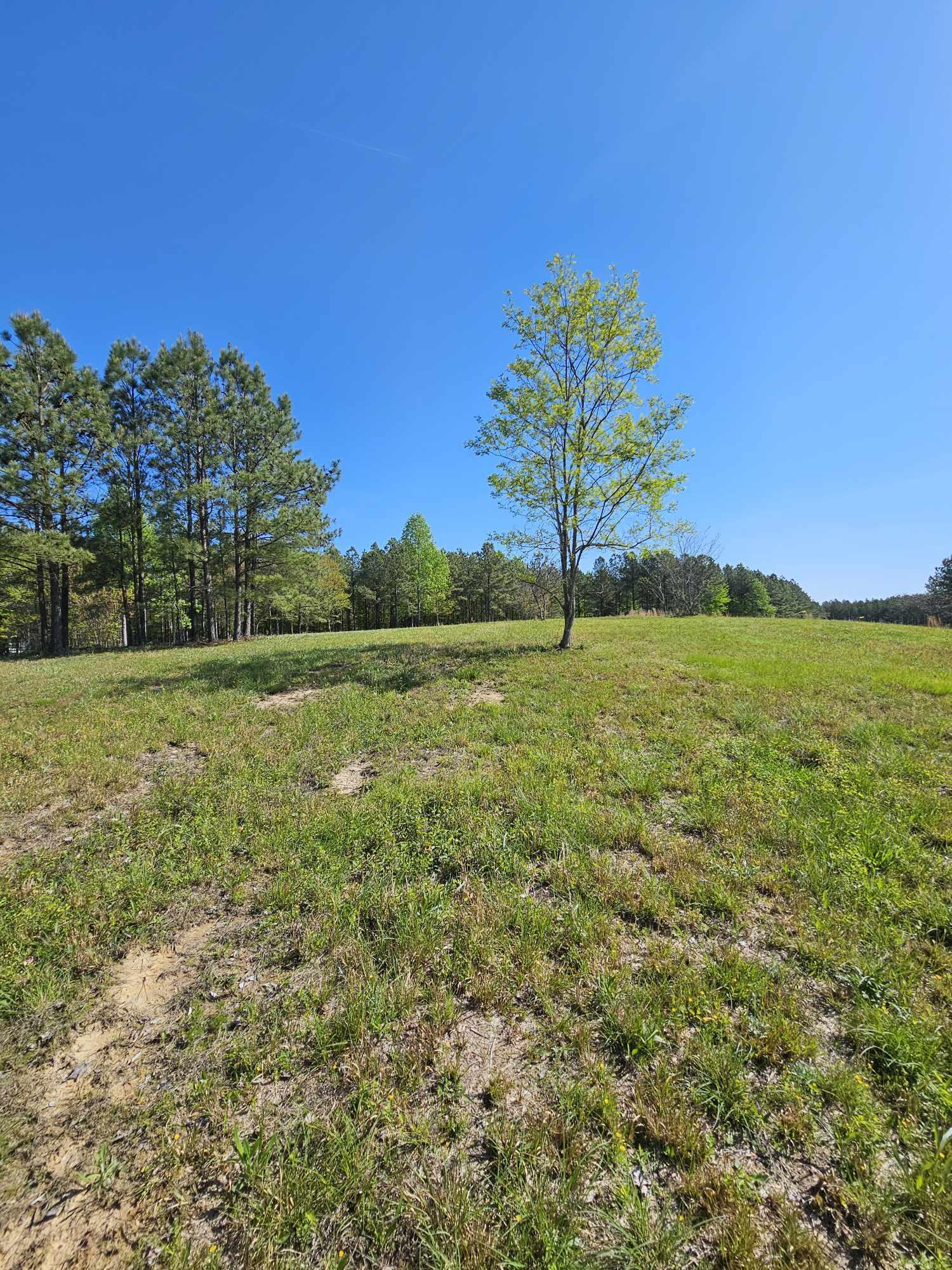 201 Pioneer Road #216, Jasper, Tennessee image 21