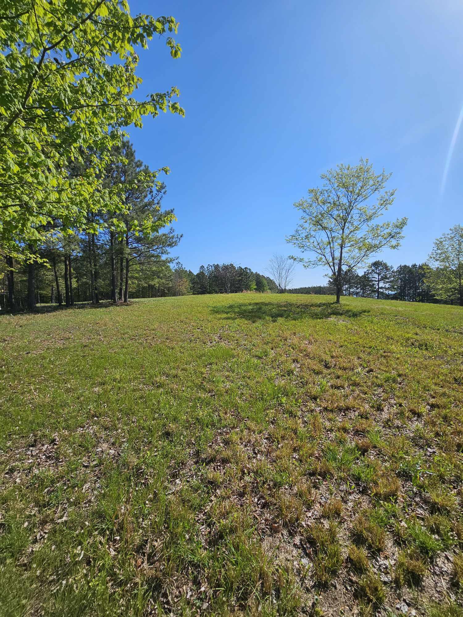 201 Pioneer Road #216, Jasper, Tennessee image 13