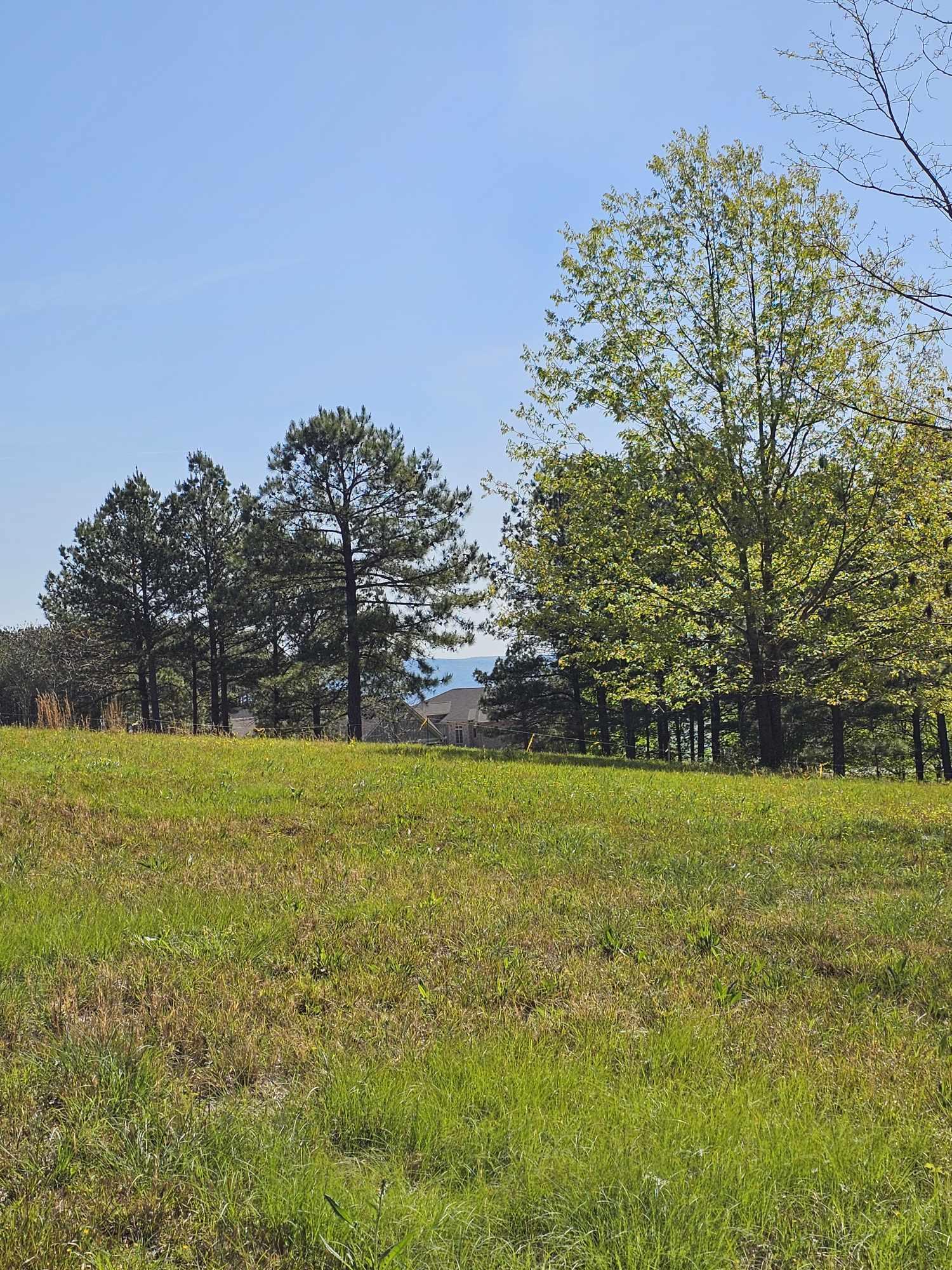 201 Pioneer Road #216, Jasper, Tennessee image 7