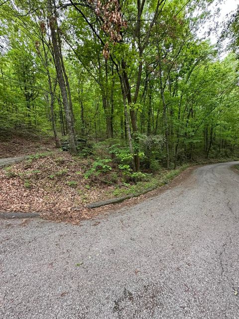 Tiny photo for 000 Wheeler Avenue, Chattanooga, TN 37406 (MLS # 1513136)