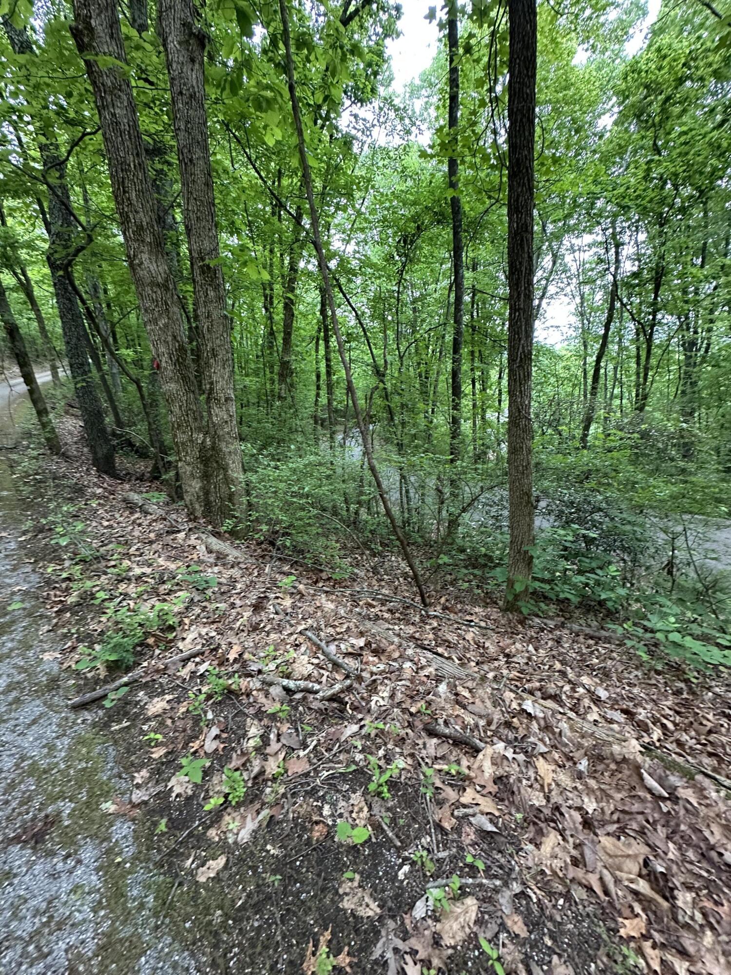 000 Wheeler Avenue, Chattanooga, Tennessee image 4