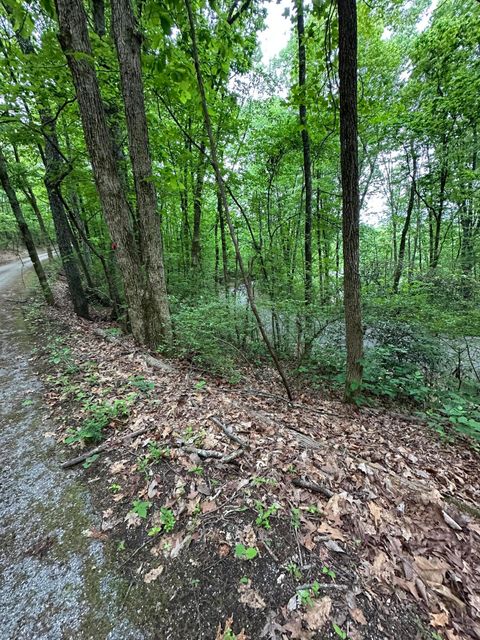 Photo of 000 Wheeler Avenue, Chattanooga, TN 37406 (MLS # 1513136)